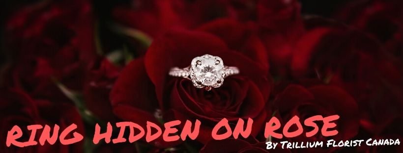 Hidden-Ring-On-Rose